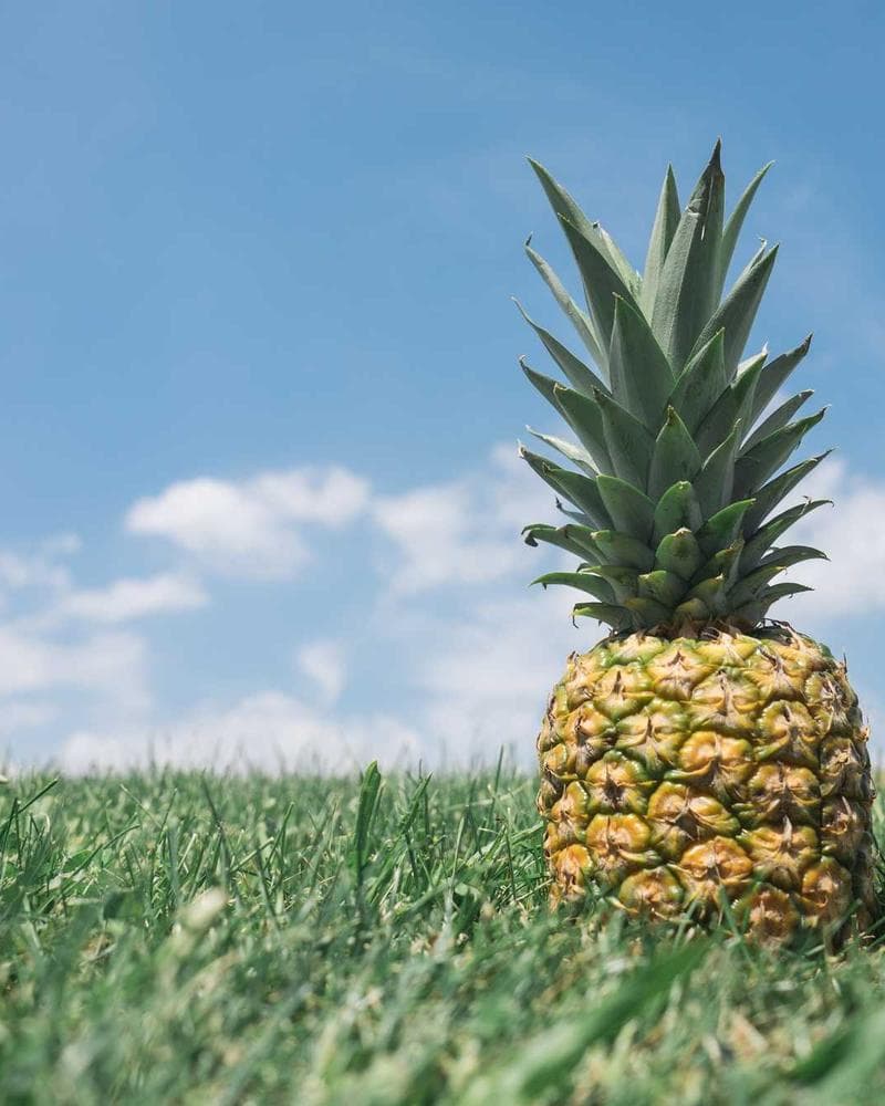 Gabon regulatory environment