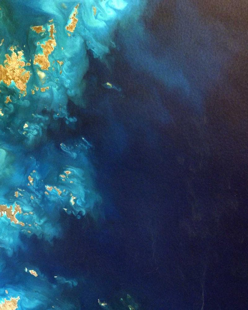 Palau regulatory environment