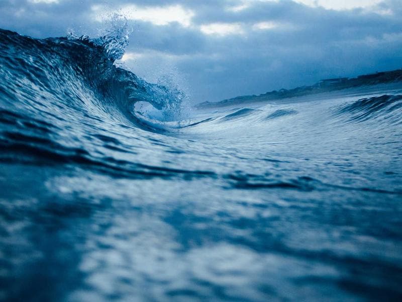 Wallis and Futuna Islands market analysis